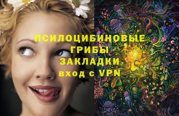 PSILOCYBIN Алзамай