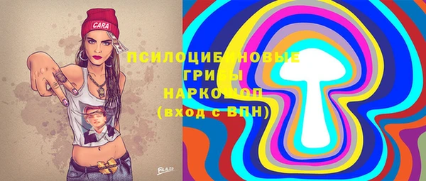 PSILOCYBIN Алзамай