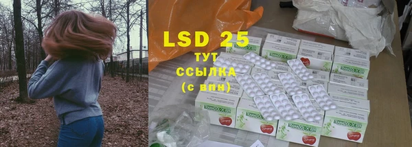 PSILOCYBIN Алзамай
